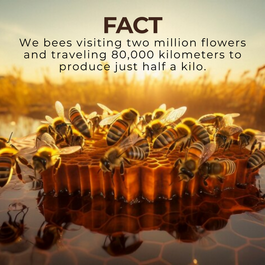 Natural Forest Honey 200g